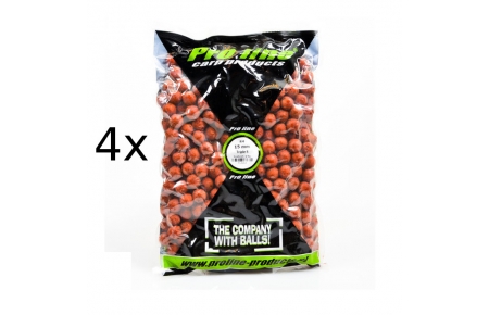 4x 2,5kg 20mm Triple S Boilies